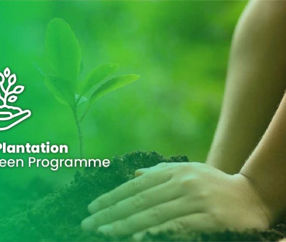 Tree Plantation: Go Green Programme